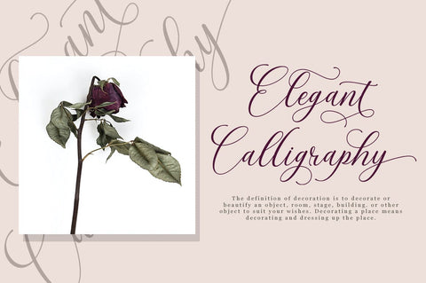 Magnolias Font Suza Studio 