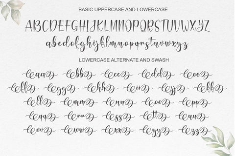 Magnolie Font Afandi Studio 