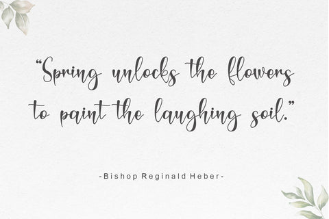 Magnolie Font Afandi Studio 