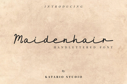 Maidenhair | Monoline Script Font Font Katario Studio 