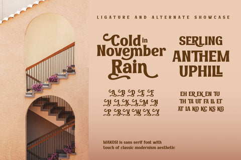 MAKOSI | Serif Classic Modernism Font twinletter 