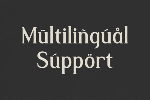 Malffide Typeface Font Storytype Studio 