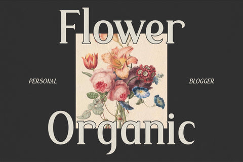 Malffide Typeface Font Storytype Studio 