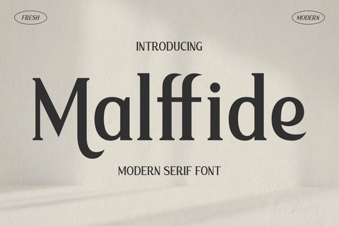 Malffide Typeface Font Storytype Studio 