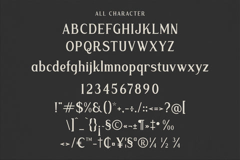 Malffide Typeface Font Storytype Studio 