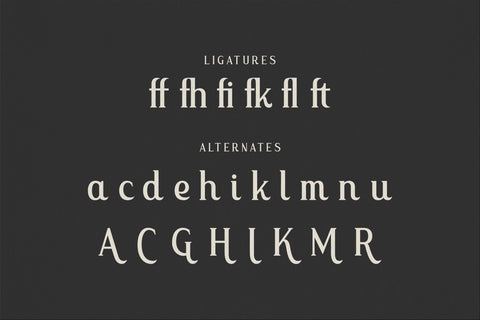 Malffide Typeface Font Storytype Studio 