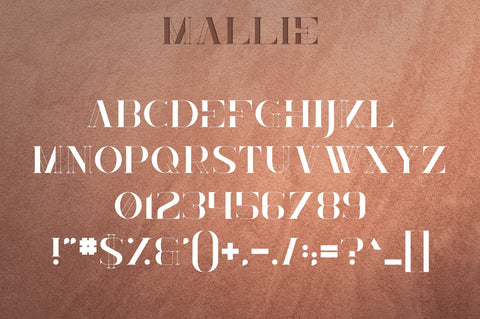 Mallie - Fusion font Font VPcreativeshop 