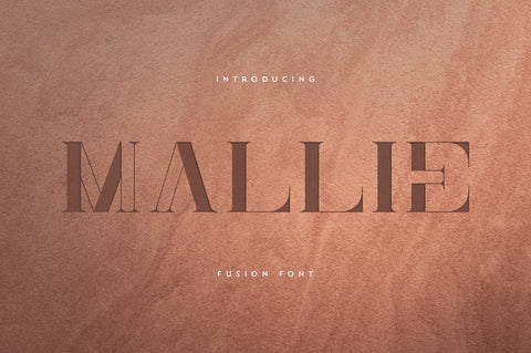 Mallie - Fusion font Font VPcreativeshop 