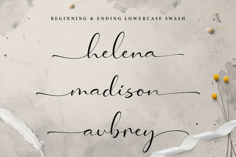 Malliya Signature Font Font Kotak Kuning Studio 