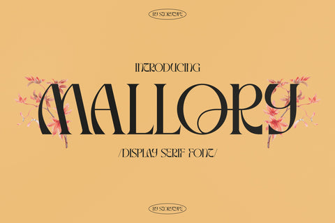 Mallory Typeface Font Storytype Studio 