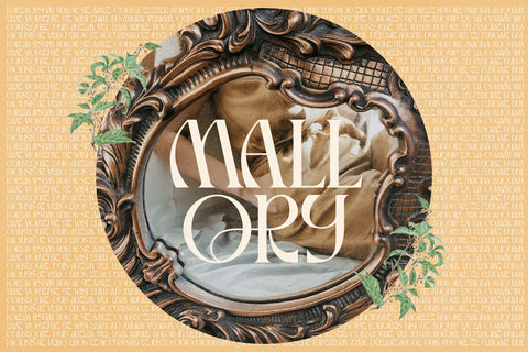 Mallory Typeface Font Storytype Studio 