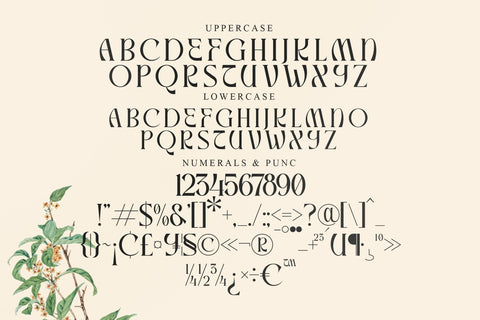Mallory Typeface Font Storytype Studio 