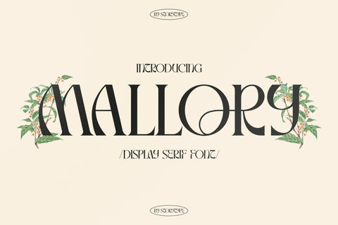 Mallory Typeface Font Storytype Studio 