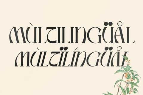 Mallory Typeface Font Storytype Studio 
