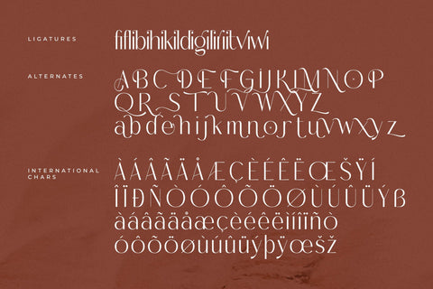 Malone Clemettine Font Duo Font Storytype Studio 