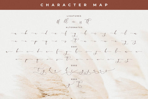 Malone Clemettine Font Duo Font Storytype Studio 