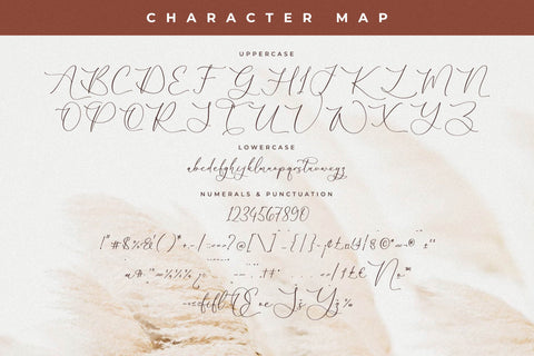 Malone Clemettine Font Duo Font Storytype Studio 