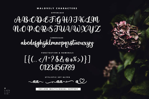 Malovely Font Font Fadeline Std. 