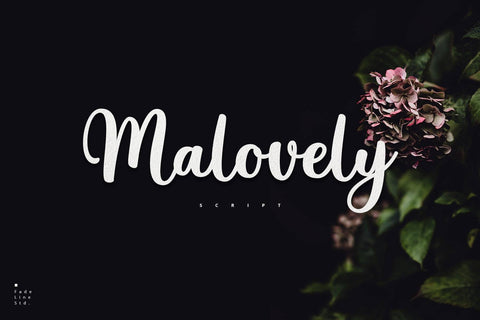 Malovely Font Font Fadeline Std. 