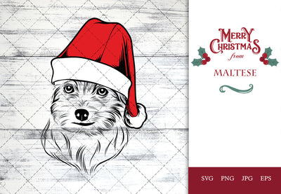 Maltese dog svg portrait clipart vector graphic art Xmas hat Christmas dog Cricut cut file cuttable design SVG Loveleen Kaur 