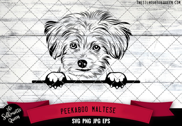 Maltese Peek A Boo | Peekaboo | Peeking Dog Face SVG for Glowforge, Cricut, Laser, Silhouette, Scan n cut files SVG Loveleen Kaur 