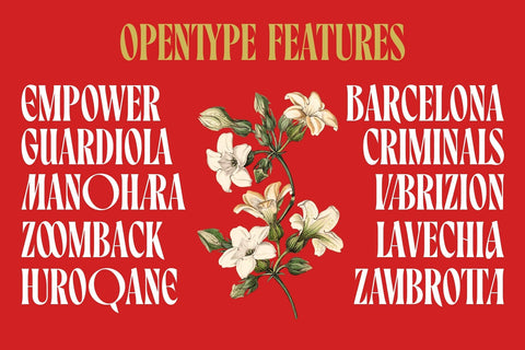 Maltiner Display Font Arterfak Project 