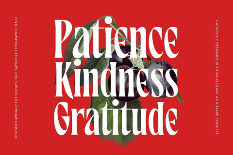 Maltiner Display Font Arterfak Project 