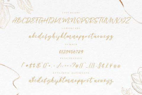 Manady Handwritten Script Font Typobia 