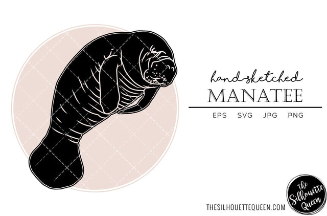 Manatee Sketch Vector SVG Loveleen Kaur 