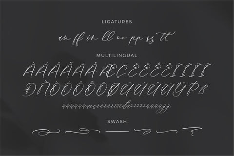 Mandela Clashinta - Luxury Calligraphy Font Storytype Studio 