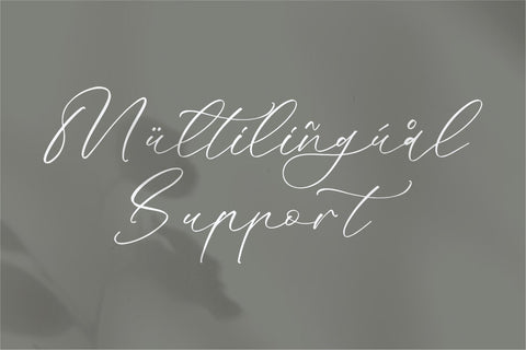 Mandela Clashinta - Luxury Calligraphy Font Storytype Studio 