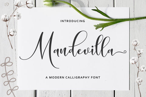 Mandevilla Script Font Zane Studio55 
