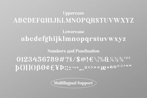 Mandira – Elegant Serif Font Arterfak Project 