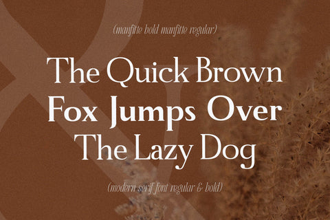 Manfitte Typeface Font Storytype Studio 