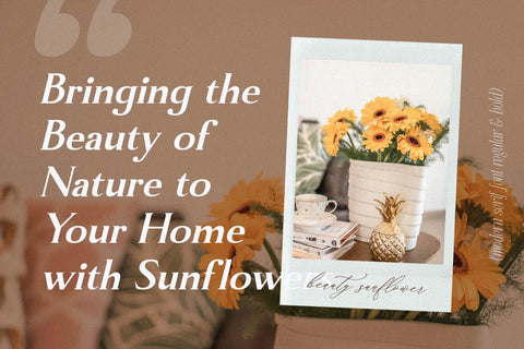 Manfitte Typeface Font Storytype Studio 