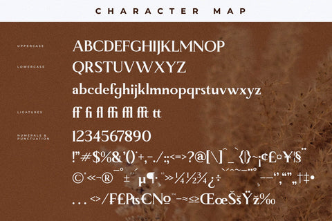 Manfitte Typeface Font Storytype Studio 