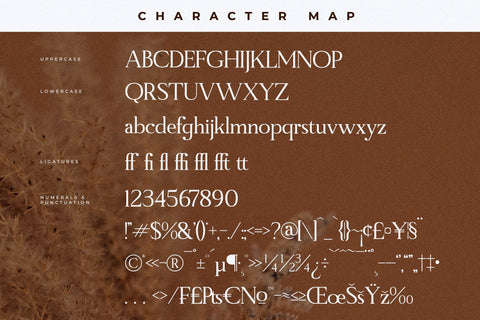 Manfitte Typeface Font Storytype Studio 