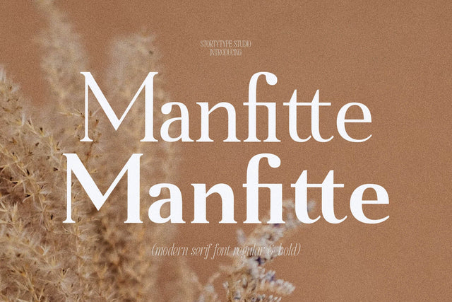 Manfitte Typeface Font Storytype Studio 