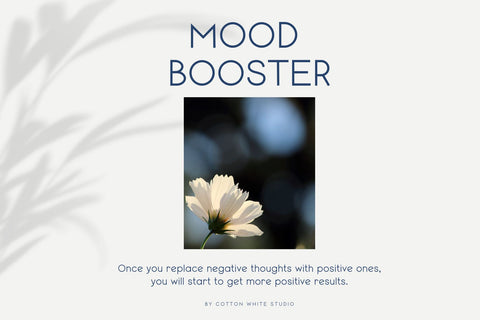 Mango Dream Font Cotton White Studio 