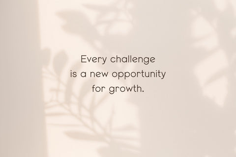 Mango Dream Font Cotton White Studio 