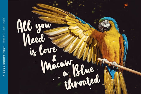 Manlyscript Font Allouse.Studio 