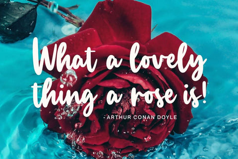 Manlyscript Font Allouse.Studio 