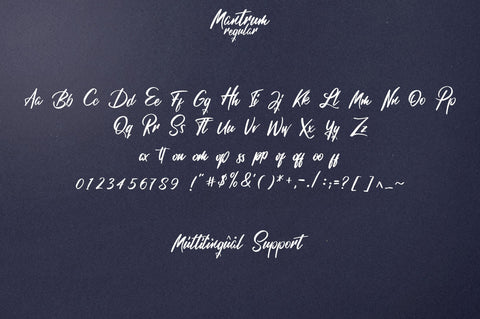 Mantrum - Urban script | 3 styles Font VPcreativeshop 
