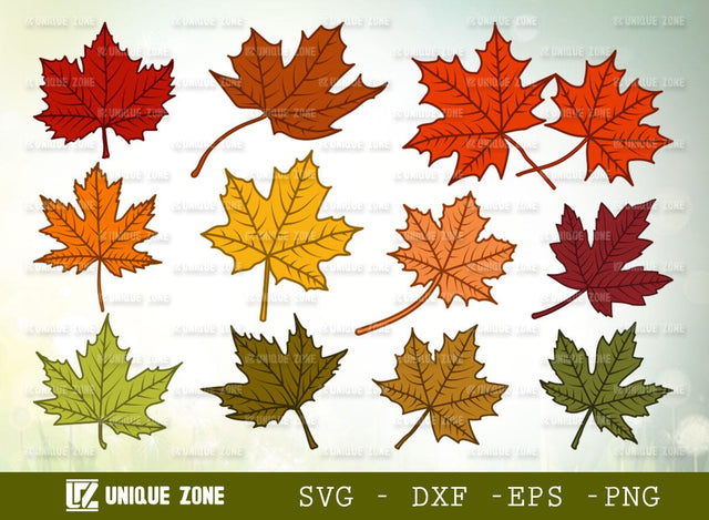Maple Leaf SVG Bundle, Leaf Silhouette, Fall Leaves Svg, Autumn Leaves Svg, Thanksgiving Svg, SVG Unique Zone 