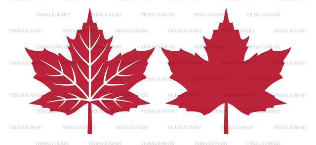 Maple leaf SVG TribaliumArtSF 