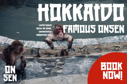 MAREKA - Japanese style font Font twinletter 