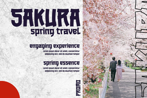MAREKA - Japanese style font Font twinletter 