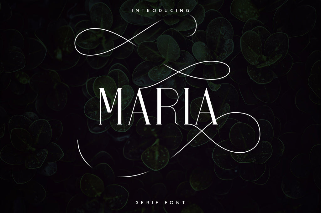 Maria Serif Font - So Fontsy