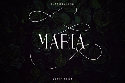Maria Serif Font Font VPcreativeshop