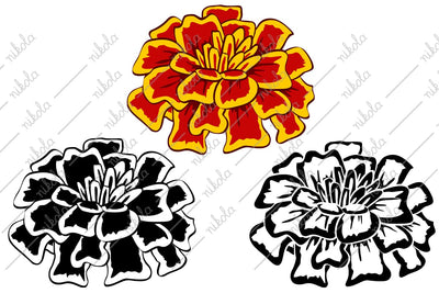 Marigold Clipart Cut File PNG SVG EPS DXF PDF SVG nikola 